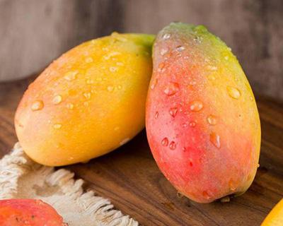 芒果加工青青草污网站APP