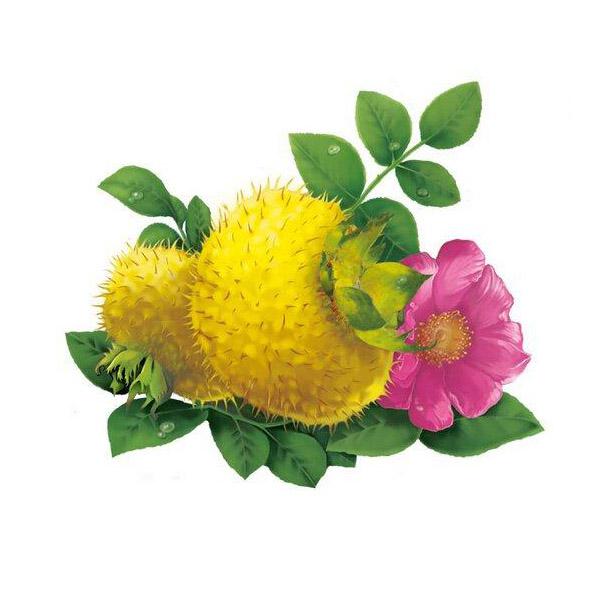 刺梨带榨青青草污网站APP