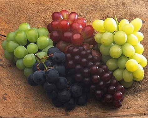 葡萄加工青青草污网站APP