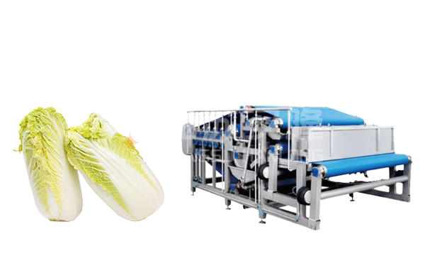 白菜带式青青草激情视频